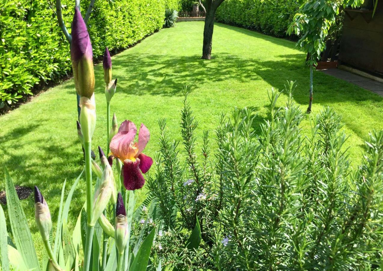 Villa Corte de' Baldi Ortignano Raggiolo Esterno foto